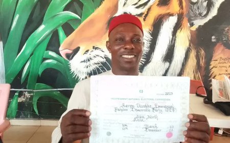 Abia Assembly Swears in Aaron Uzodike of PDP after 9 Months
