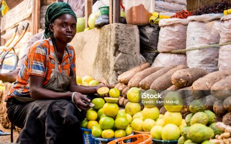 Harvest Season Brings Relief as Prices of Beans, Tomatoes, New yams Drop in Abia and Imo Markets