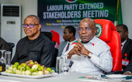 Labour Party Cancels Reserved 2027 Election Tickets for Obi and Otti, Opens Nominations to All Nigerians