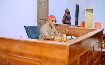 Abia Assembly Moves to Stop Private Schools from Compelling Parents to Buy Customized Textbooks