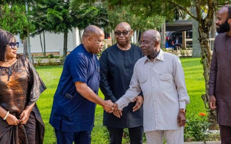 Governor Alex Otti Welcomes Agro-Investment Team for $120 Million Oil Palm Development in Abia State