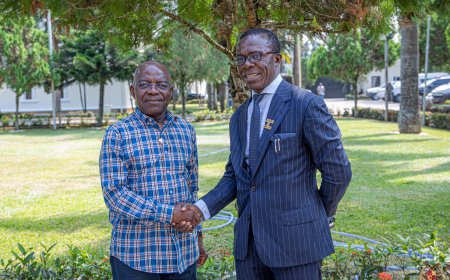 Abia State Government Partners Coscharis Group to Launch Electric Vehicles in State’s Transport Sector