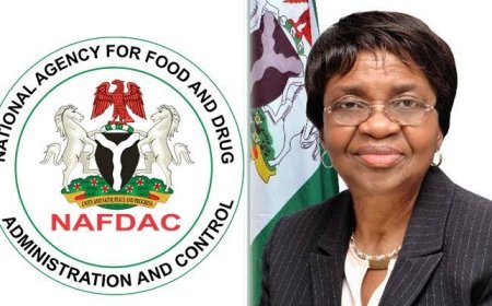 NAFDAC seals 250 factories producing fake Hennessy, Coca-Cola, others in Aba