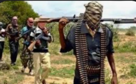 Abia State Electoral Commission Chairman, Prof. George Chima, Kidnapped in Okigwe