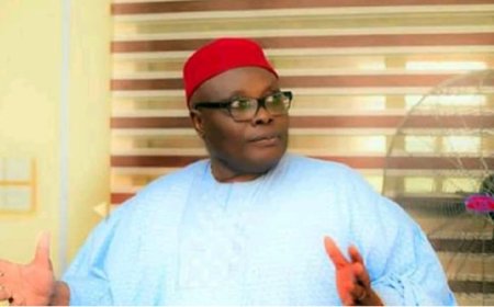 PDP Abia Suspends BOT Chairman Adolphus Wabara Over Alleged Anti-Party Activities
