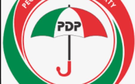 PDP National Leadership Overrules Abia Chapter, Declares Wabara's Suspension Unconstitutional