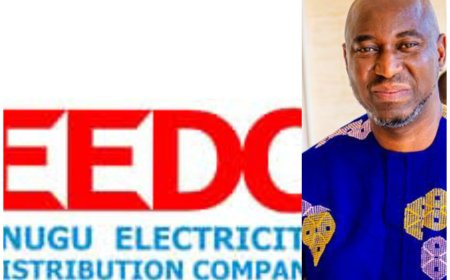 The Planned Acquisition Of 60% EEDC Shares by Abia State Government”  What and Why?