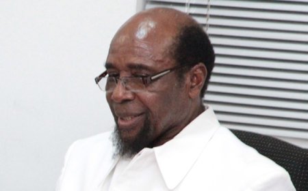 Remembering Senator Uche Chukwumerije: A Pillar of Nigerian Politics.