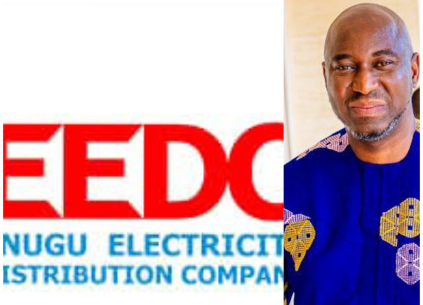 The Planned Acquisition Of 60% EEDC Shares by Abia State Government”  What and Why?