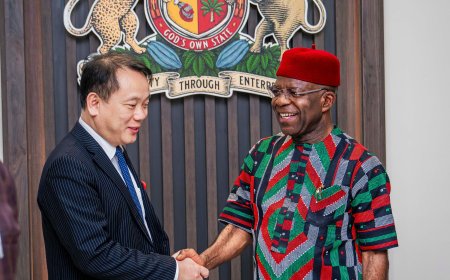 Gov. Otti to Partner with Vietnam to Boost Agriculture, Trade, and Industry in Abia