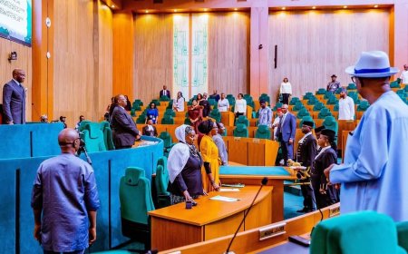 Senate Approves Establishment of Federal University of Medical and Health Sciences and Federal College of Education in Bende