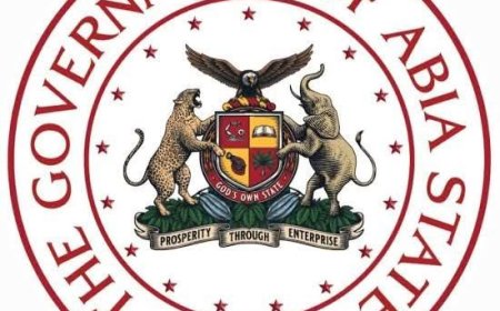 Abia State Government Constitutes Board for Medicines and Commodities Management Agency