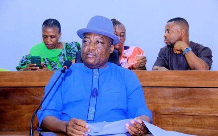 PDP Lawmaker Hon. Emmanuel Ndubuisi Resigns, Set to Join APC in Bende