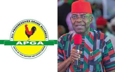 APGA Urges Governor Alex Otti to Return to the Party, Labels Other Political Platforms as Unstable