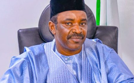 FG Secures Full Financing for Aba-Maiduguri Eastern Rail Corridor, Pushes Kaduna-Kano Line to 53% Completion