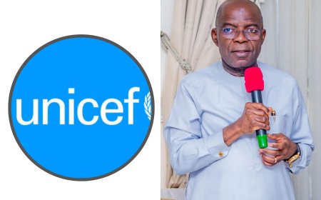 UNICEF Consultant Commends Otti’s Administration for Transparency in Abia’s Budgeting System