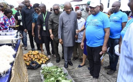 We Are Deliberately Investing In Agriculture – Gov. Otti