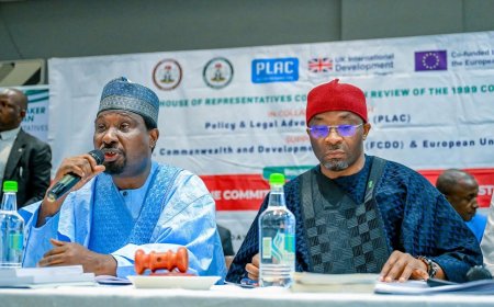 National Assembly Panel Approves New State For South East, Independent Candidacy, More Seats For Women