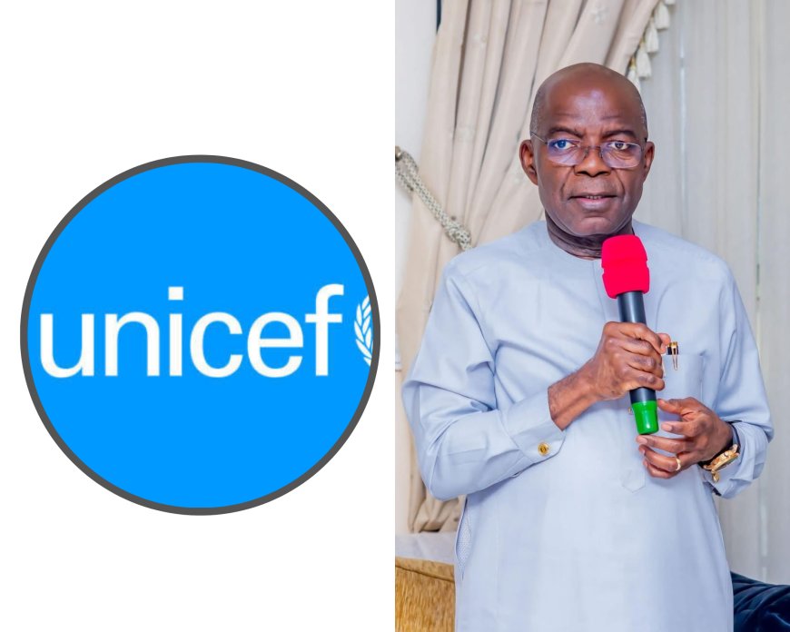 UNICEF Consultant Commends Otti’s Administration for Transparency in Abia’s Budgeting System